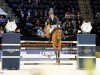jumper Eyecatcher (KWPN (Royal Dutch Sporthorse), 2009, from VDL Harley)
