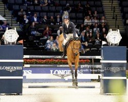 jumper Eyecatcher (KWPN (Royal Dutch Sporthorse), 2009, from VDL Harley)