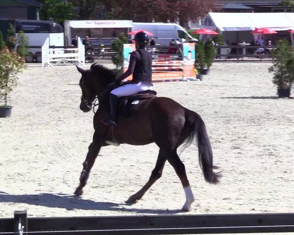 Reitturnier Looperholz 2025