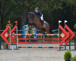 jumper Conrad 127 (Hanoverian, 2011, from Concetto)