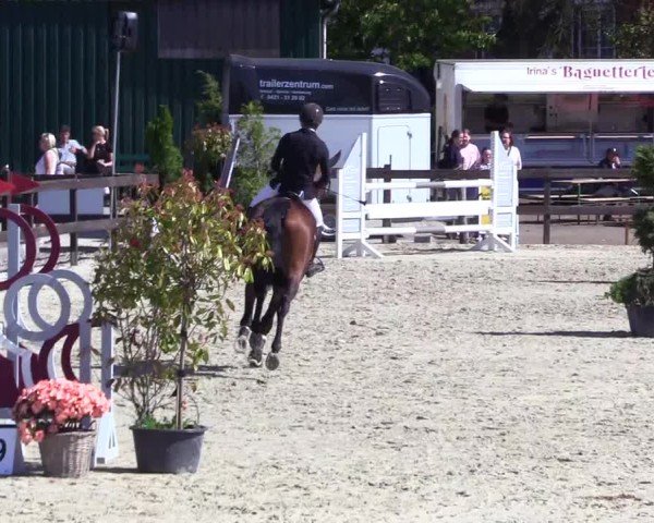 Reitturnier Looperholz 2025