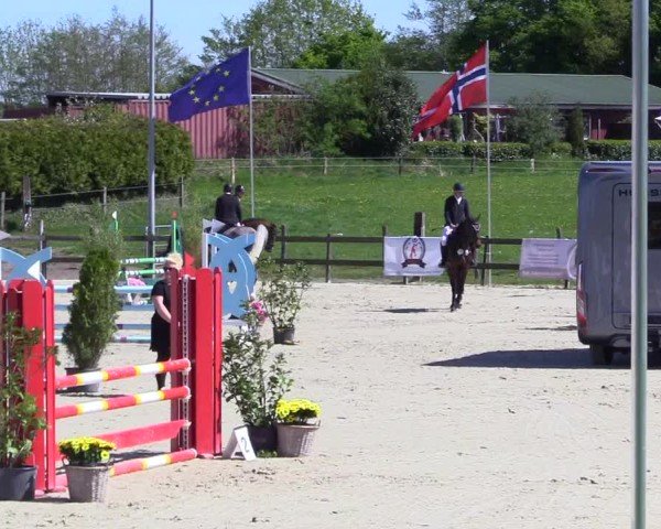 Reitturnier Looperholz 2025