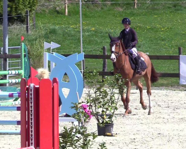 Reitturnier Looperholz 2025