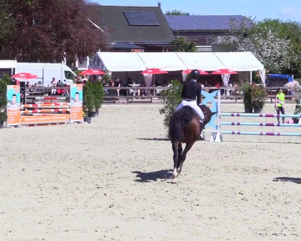 Reitturnier Looperholz 2025