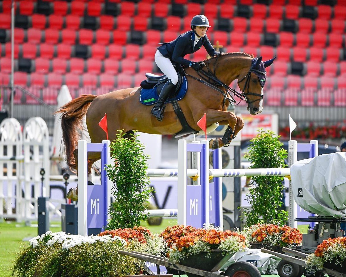 jumper PB Coretta Z (Zangersheide riding horse, 2013, from Colore)