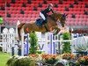 jumper PB Coretta Z (Zangersheide riding horse, 2013, from Colore)