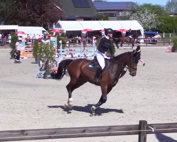 Reitturnier Looperholz 2025