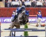 jumper PB Dicannus (Hanoverian, 2013, from Diarado)
