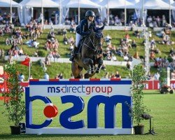 jumper Pb Loewenherz (Hanoverian, 2012, from Levisto Z)