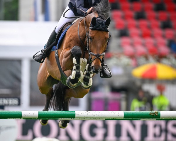 jumper PB Portofino (Hanoverian, 2010, from Lord Pezi)