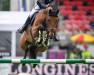 jumper PB Portofino (Hanoverian, 2010, from Lord Pezi)