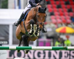 jumper PB Portofino (Hanoverian, 2010, from Lord Pezi)