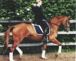 dressage horse Dance Flower (Oldenburg, 2001, from Bmc Don Cardinale)