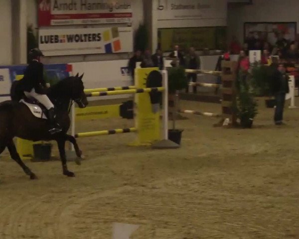 Hallenspringturnier in Borken 2014