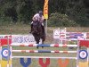 jumper Cascada 103 (Hanoverian, 2012, from Catoki)