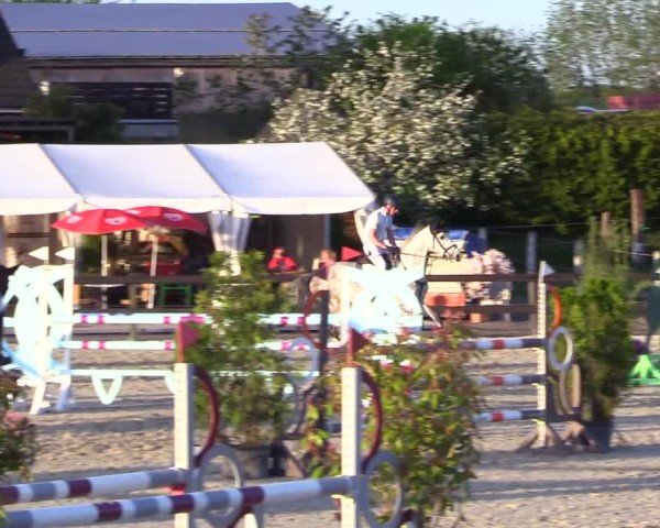 Reitturnier Looperholz 2025