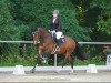 jumper Lekkerding P (KWPN (Royal Dutch Sporthorse), 2016, from Diarado)