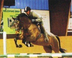 horse Carmelito 3 (Sachse, 2000, from Cincinatti)