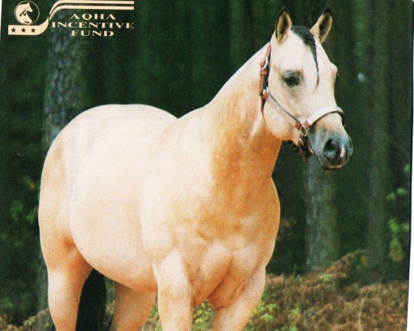 stallion Luscious Royal (Quarter Horse, 1993, from Sonny Go Royal)