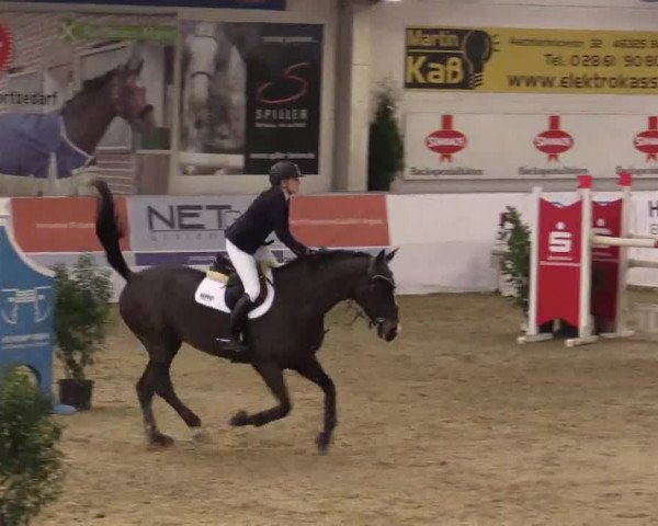 Hallenspringturnier in Borken 2014