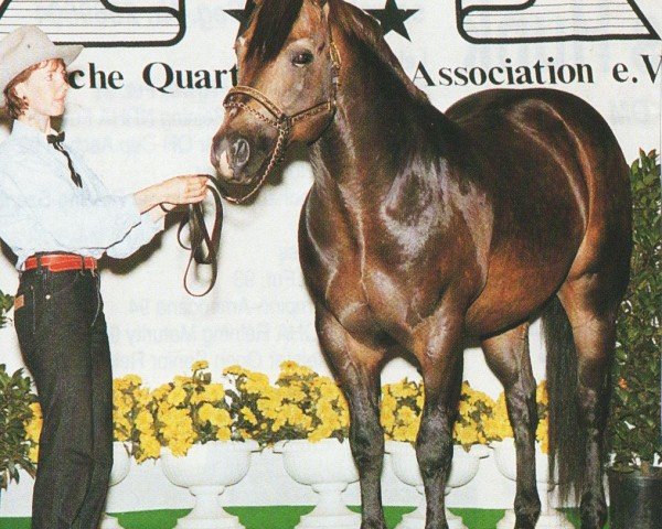 Pferd Dears Little Wimpy (Quarter Horse,  , von Buckskin Dear)