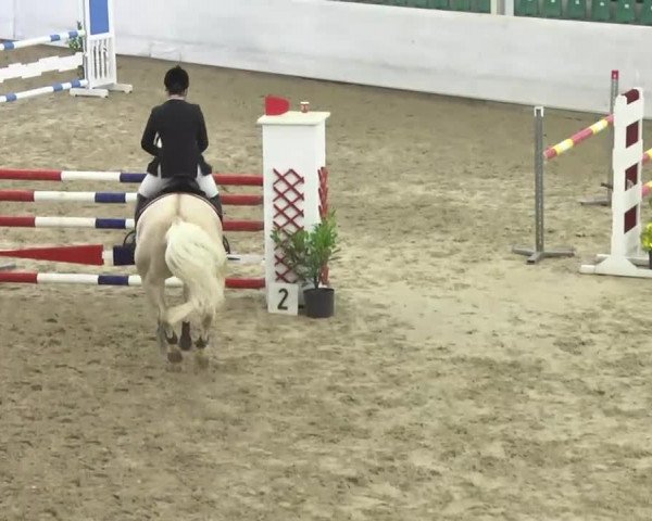 Late Entry Zweibrücken 2014