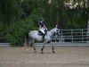 jumper Casablanca 134 (Oldenburg show jumper, 2014, from Cassus 2)