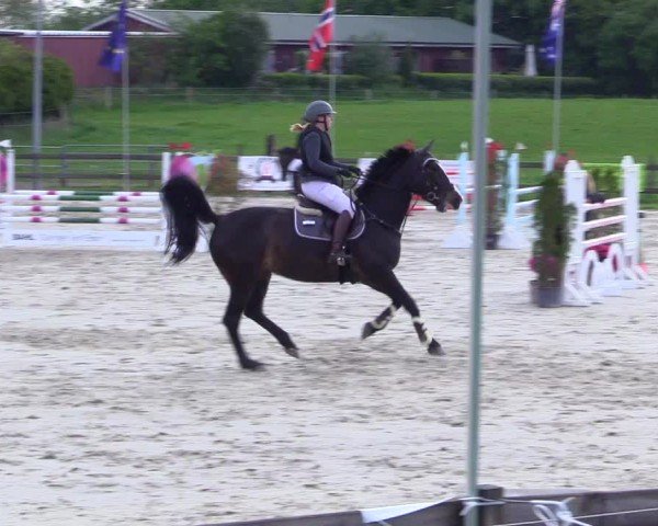 Reitturnier Looperholz 2025