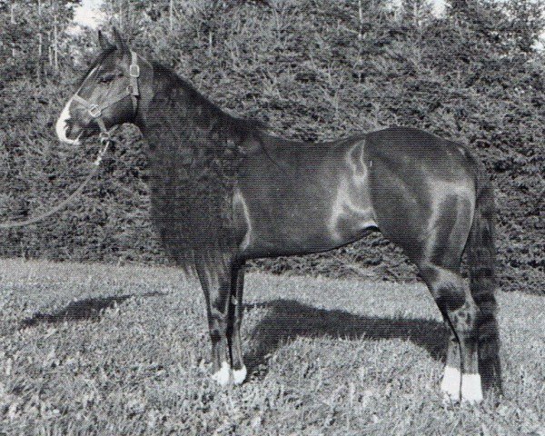 Pferd Catalyst Dry (Quarter Horse, 1992, von Taris Catalyst)