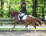 Dressurpferd Next Darling M (Deutsches Reitpony, 2021, von Fs Numero Uno)