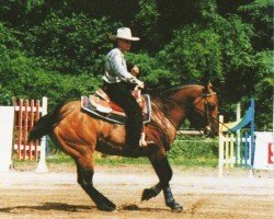 horse Mocha Dun It (Quarter Horse, 1993, from Hollywood Dun It)