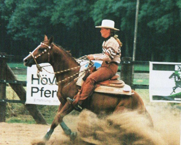 Deckhengst Doc Smokes Hollywood (Quarter Horse, 1993, von Genuine Doc)