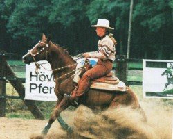 Deckhengst Doc Smokes Hollywood (Quarter Horse, 1993, von Genuine Doc)