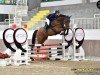 jumper Acichello PS (Oldenburg, 2012, from Action-Breaker)