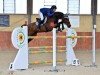 jumper Etna (KWPN (Royal Dutch Sporthorse), 2009, from Canturano I)