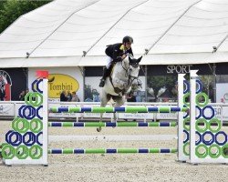 Springpferd Lusina ZW (KWPN (Niederländisches Warmblut), 2016, von Carrera VDL)