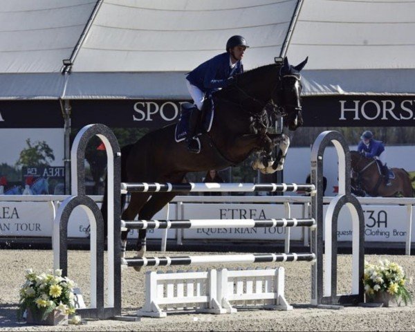 jumper Esprit de La Roque (KWPN (Royal Dutch Sporthorse), 2009, from Kannan)