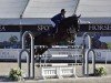 jumper Esprit de La Roque (KWPN (Royal Dutch Sporthorse), 2009, from Kannan)