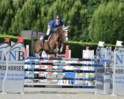 jumper Moonlight du Cozar (Belgian Warmblood, 2012, from Button Sitte)