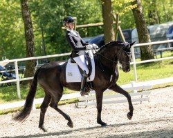 dressage horse Rimaldra (KWPN (Royal Dutch Sporthorse), 2021, from Fürst Samarant)