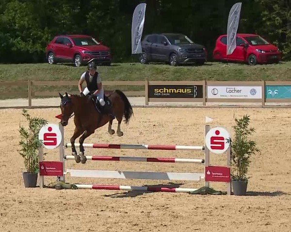 Reitturnier Tiefenhof/Opf. 2025