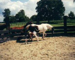 broodmare Icemara (Zweibrücken, 1995, from Icon)