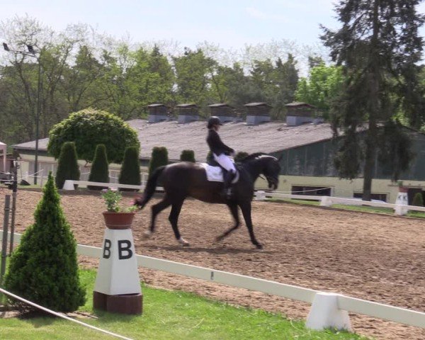 Reitturnier Teupitz 2025