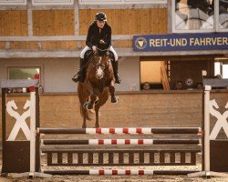 jumper Cancarda conquers Hearts (Hanoverian, 2020, from Carridam)