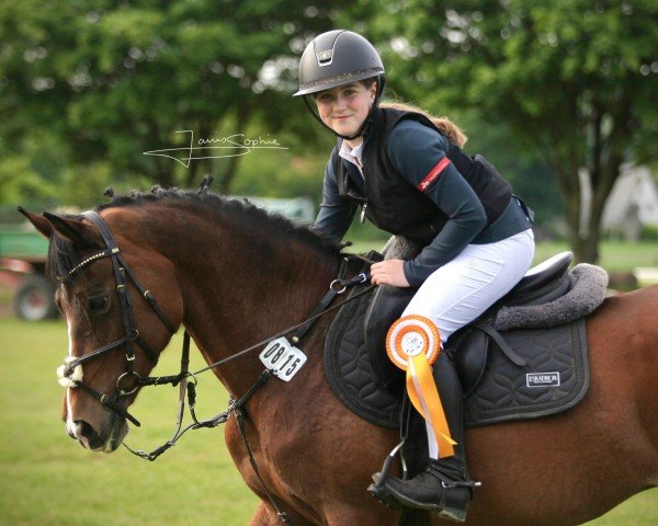 Springpferd Orchid's Fiona (New-Forest-Pony, 2004)