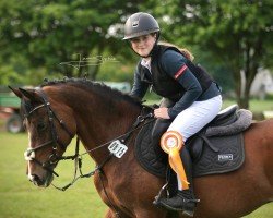 jumper Orchid's Fiona (New Forest Pony, 2004)