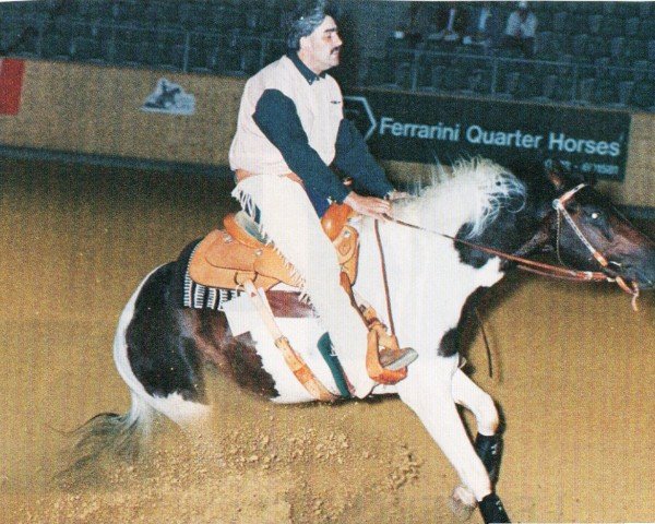 Pferd Chatto Pepsi Peper (Paint Horse, 1995, von Peps Amber Notice)