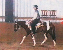 horse Zippo Doc (Paint Horse, 1995, from Bourbon Street Kid)