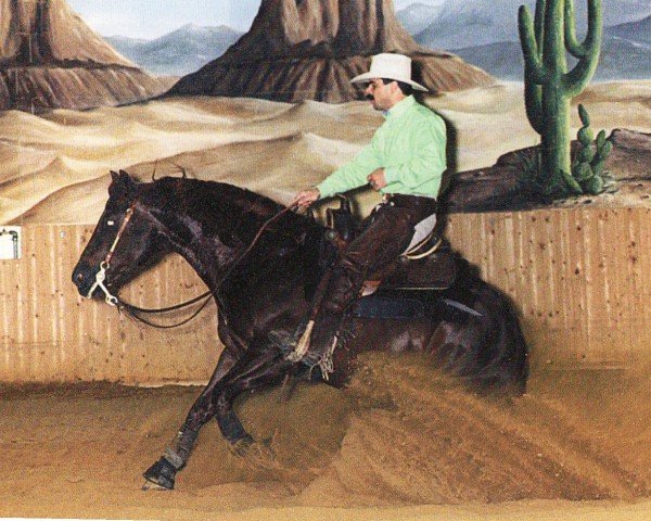Pferd Mr Turbodiesel (Quarter Horse, 1994, von Fourteen Karat Jac)