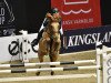 jumper Gangnam Style (Irish Sport Horse, 2006, from Mohill Cavalier Clover)